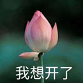 澳洲WHV4月就要到期，而我还没入境...