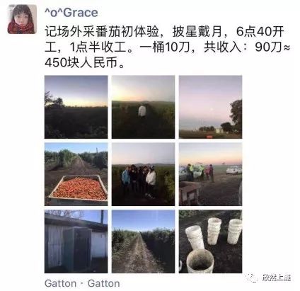 九个月Grace澳洲打工度假赚了多少钱？