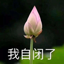 澳洲WHV4月就要到期，而我还没入境...