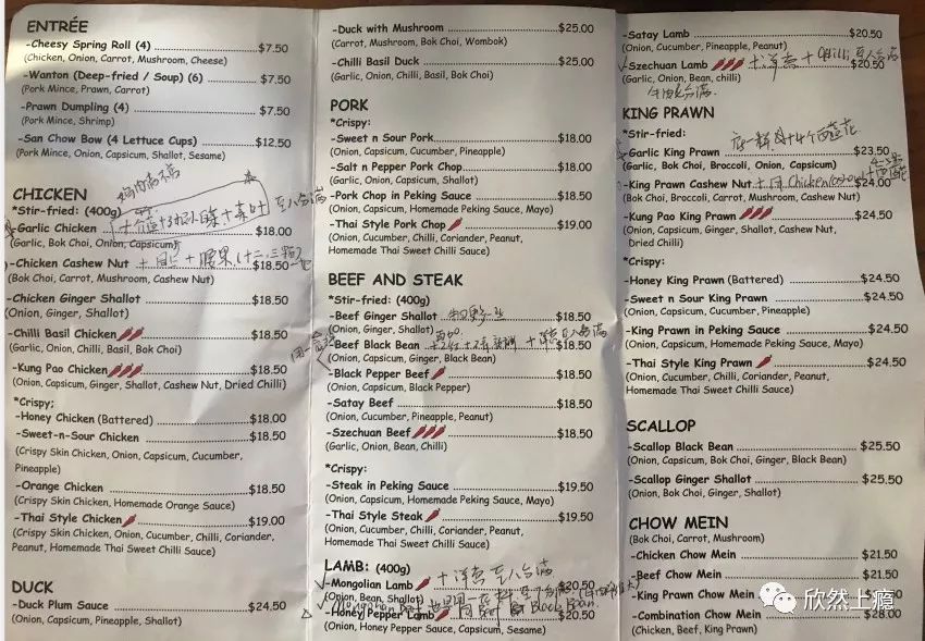 九个月Grace澳洲打工度假赚了多少钱？