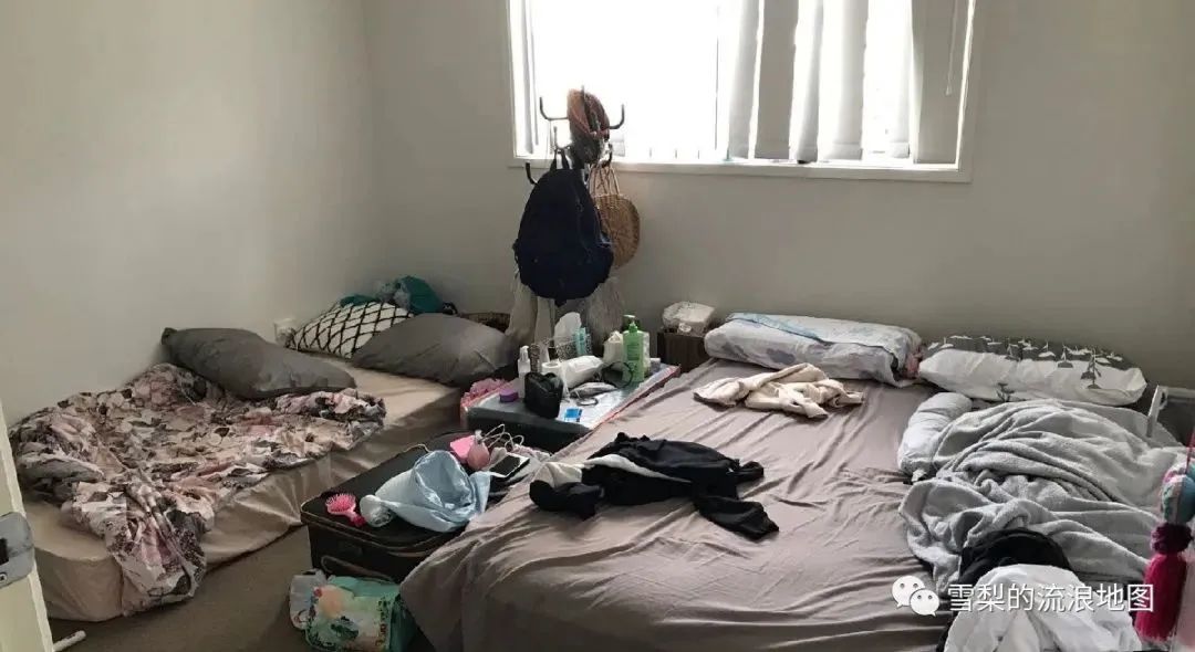 卡布丘红莓草莓农场工作体验，附联系方式