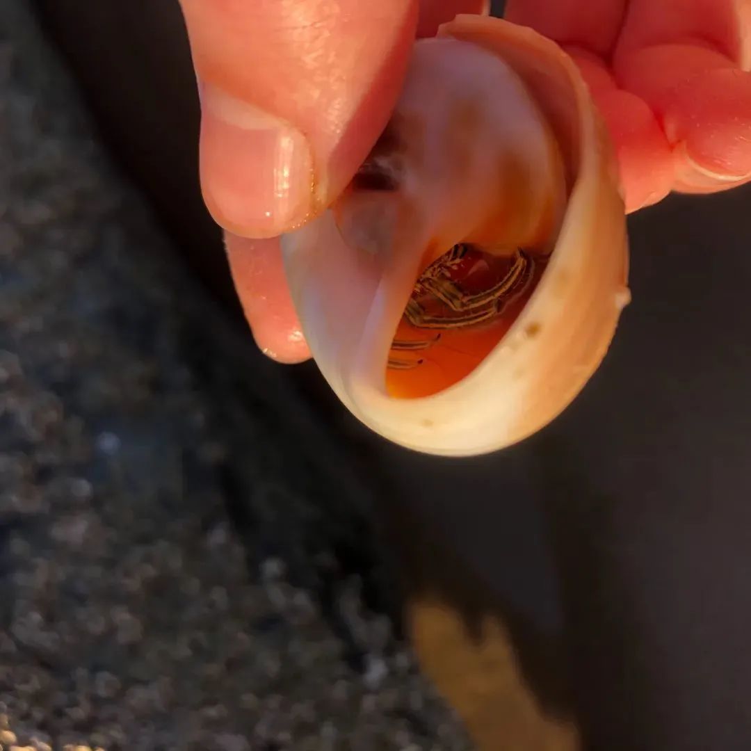行走的美术姚老师遇见艺术家Donna