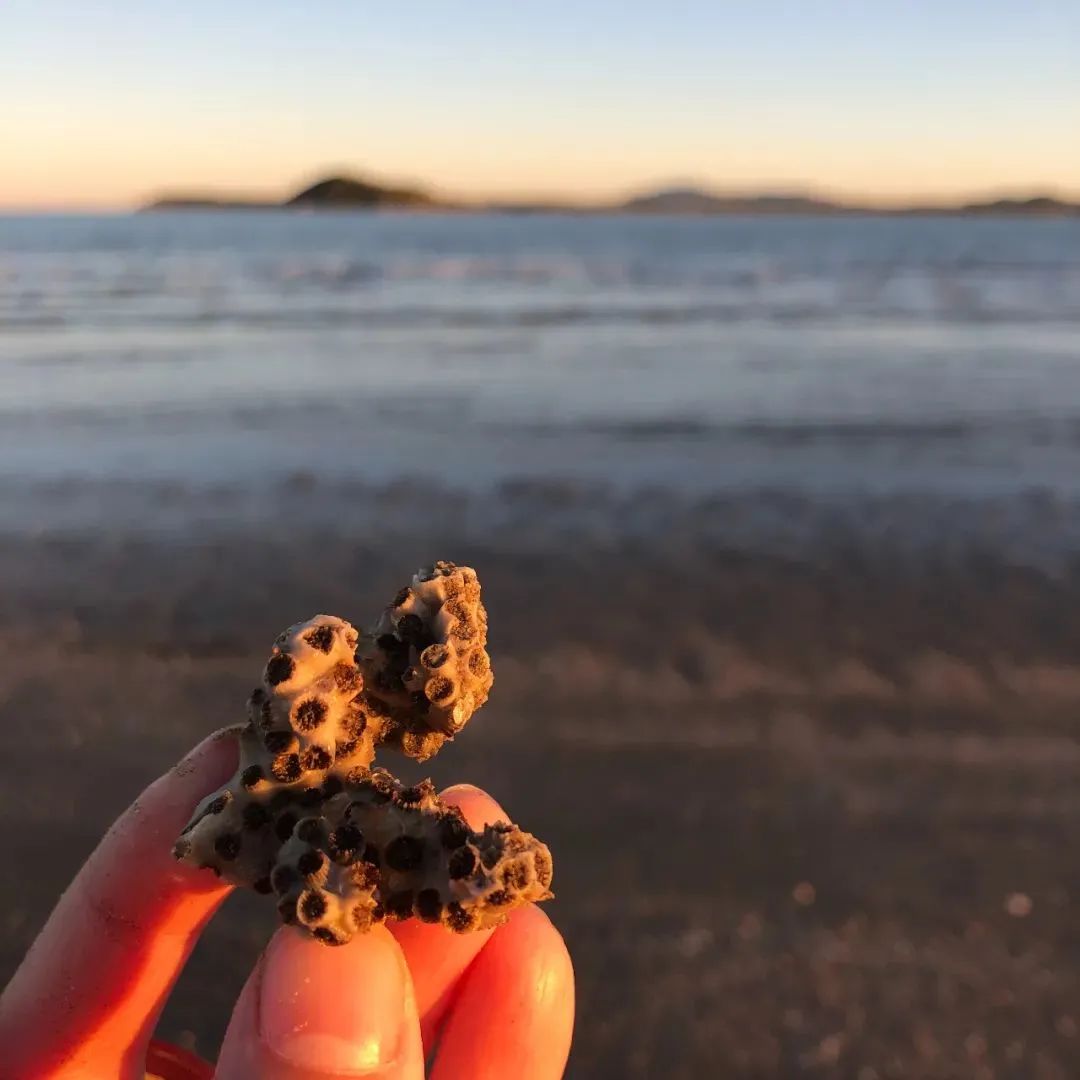行走的美术姚老师遇见艺术家Donna