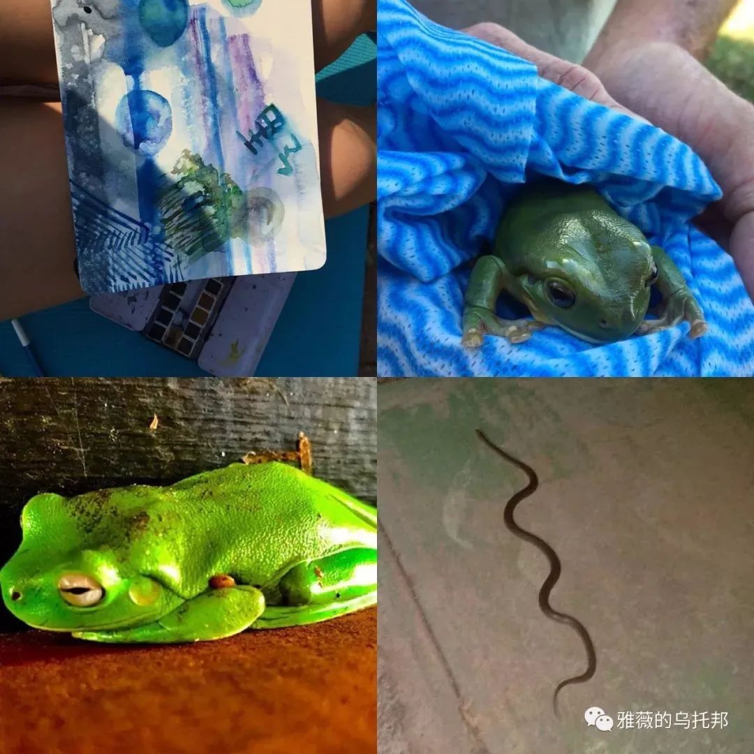 打工旅行两年，6份换宿4份工作，她，到底经历了什么？