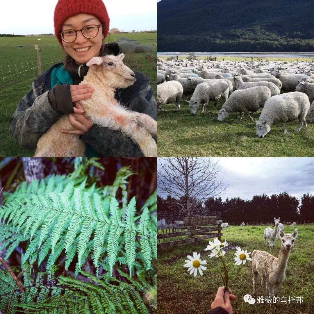 打工旅行两年，6份换宿4份工作，她，到底经历了什么？
