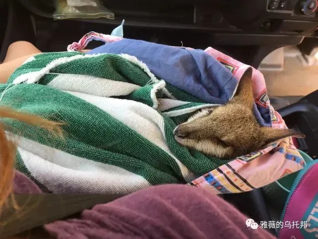 打工旅行两年，6份换宿4份工作，她，到底经历了什么？