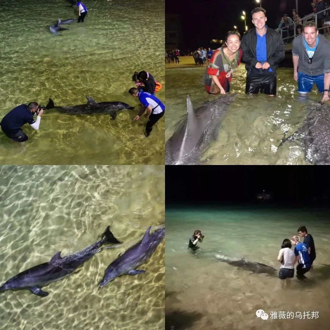 打工旅行两年，6份换宿4份工作，她，到底经历了什么？