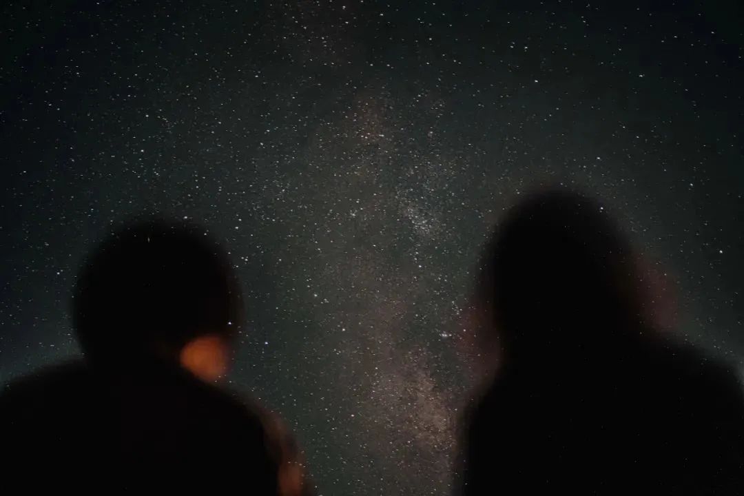 2020｜每天都是人生旅程