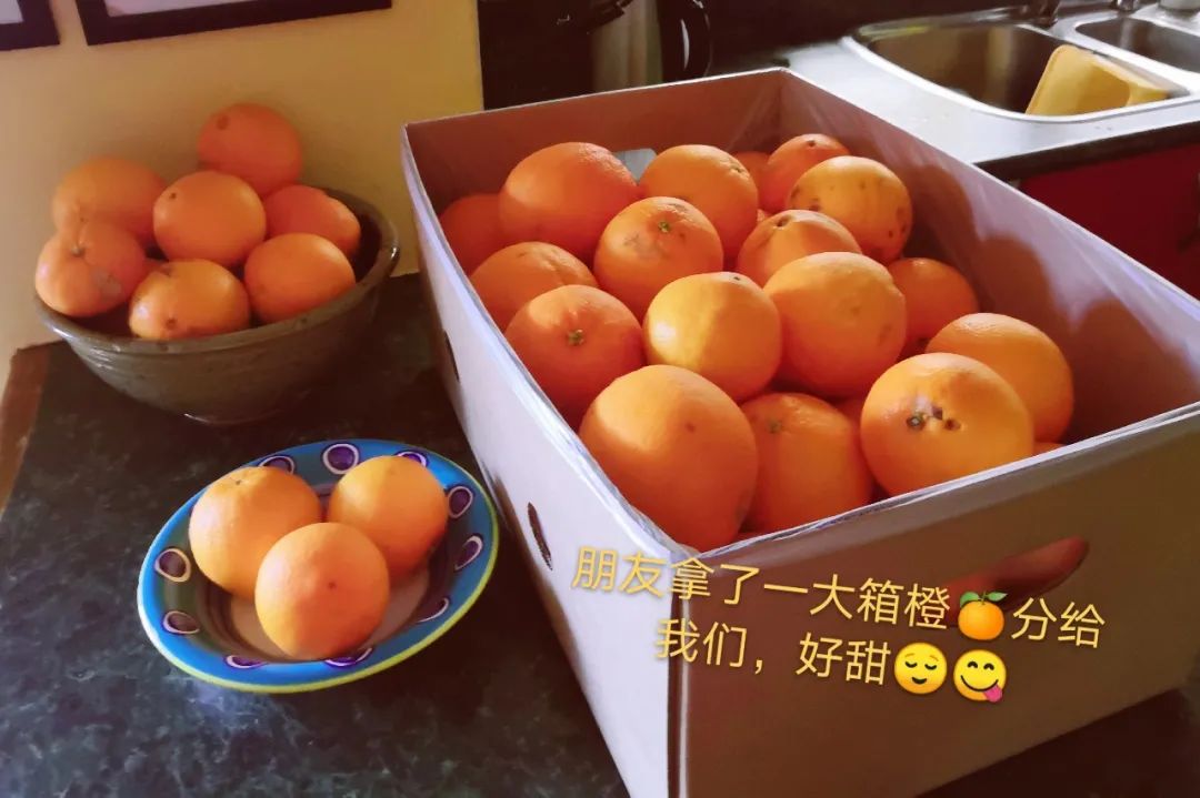纽漂人乡愁 |浪费一生,我在他乡挺好的 纽漂人乡愁 |浪费一生,我在他乡挺好的